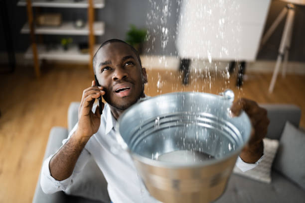 Best Local water damage restoration  in Applewood, CO
