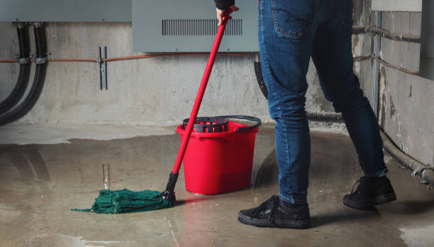 Best Flood restoration services  in Applewood, CO