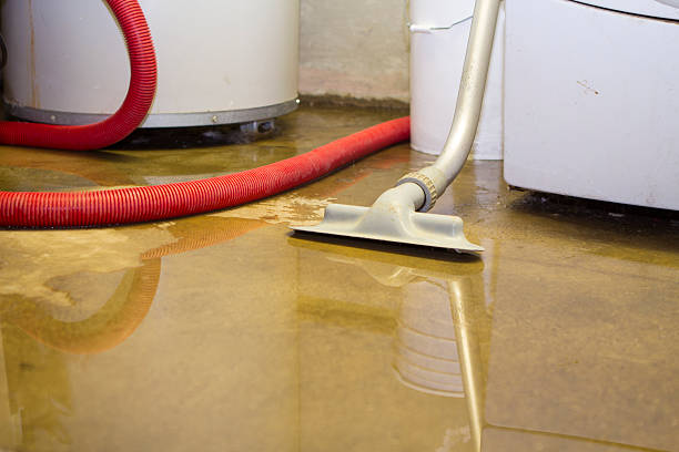 Best Professional water damage repair  in Applewood, CO