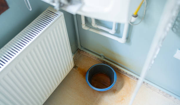 Best Residential water damage restoration  in Applewood, CO