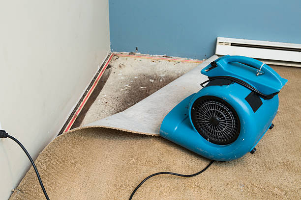 Best Water damage restoration near me  in Applewood, CO
