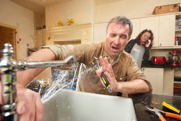Best Flood damage cleanup  in Applewood, CO